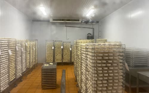 Новое производство сыров с белой плесенью.