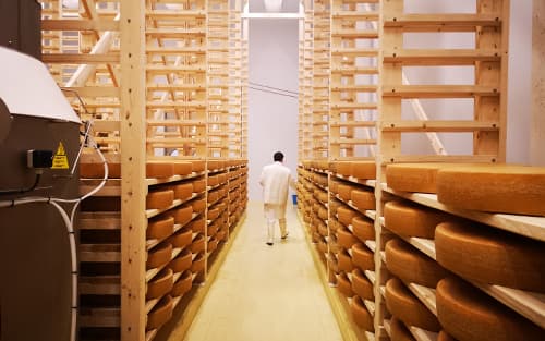 Производство сыров Грюйер (головки 720мм по 40кг)